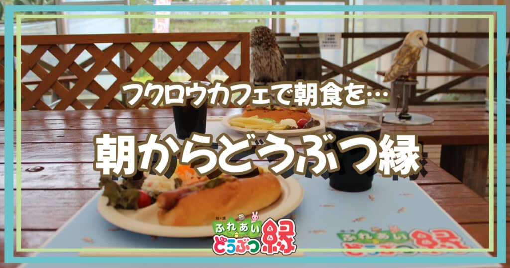 朝からどうぶつ縁