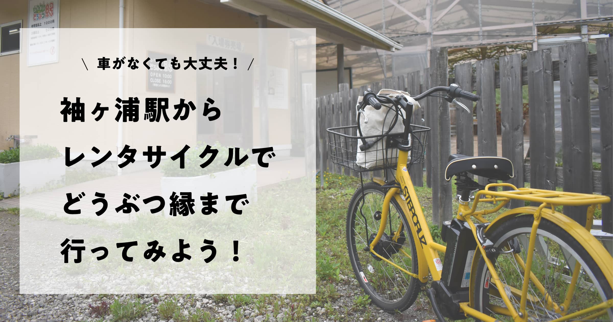 自転車でどうぶつ縁