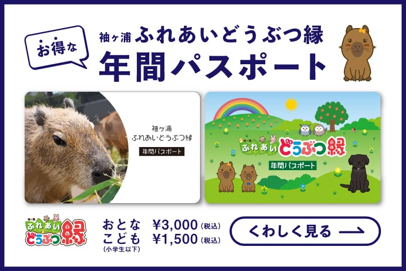 年間パスポート